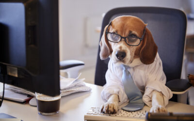 I Don’t Even Know What I Want for My Marketing… Let’s Figure It Out Together